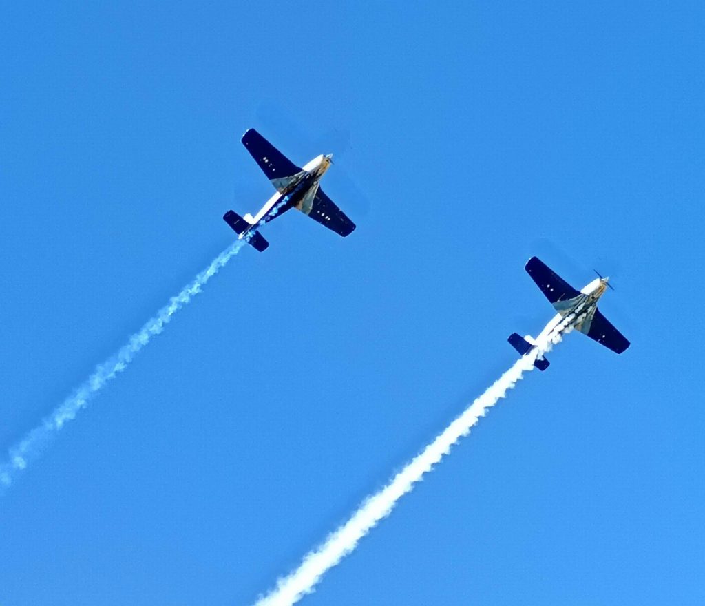 avions de voltige